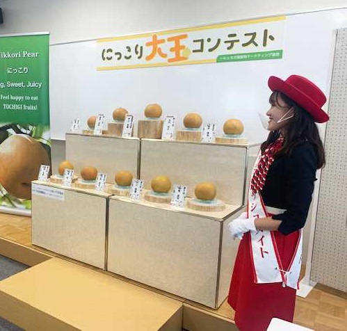 メインビュー