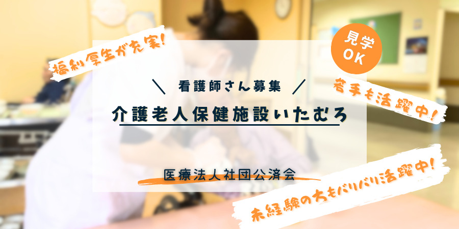 メインビュー